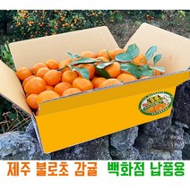 [제주][불로초감귤] 불로초 감귤 백화점3사 입고된 GAP 인증 고당도 감귤 선물용 3kg / 1.5kg, 불로초 감귤 (선물용)3kg