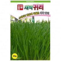 (아시아종묘/새싹씨앗) 새싹귀리씨앗(1kg)