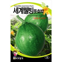 세계웰빙 풋 호박 씨앗 채소 종자 야채 씨 30알