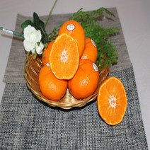 제주도 레드향 (선물용)11~13수 3kg 1 박스 자연대로팜웨이, 레드향(특)3kg