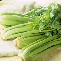 국내산 싱싱 아삭아삭 셀러리 2kg 5kg 10kg