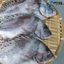 (여수동동)국내산 딱 돔/어름돔 22cm/5마리 1kg 내외 와사비 믹스간장 증정, 22cm내외=5마리