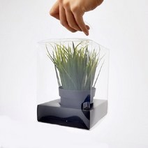 [방산소년단] 투명 무지개손잡이 화분상자 25개, 대(17 x 17 x 24), 속지 O