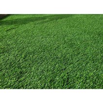 풋살장 학교 야구장 축구장 골프장 실내외 운동장 스포츠 인조잔디 두께 35mm 폭2mx5m/10m, 두께35mm(폭2mx10m), 1개