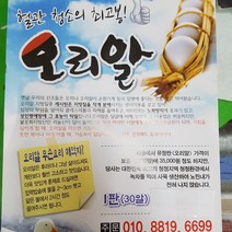 오리알 녹차를 먹여 자연에서 키운 건강식품 40개 (소진시 소란60개), 40구, 1개