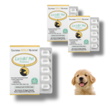 Bronson 프로바이오틱스 50억 CFU 60베지캡슐 유산균