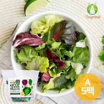 데이밀 자연을담은 샐러드 실속A 100g x 5팩 국내산 야채믹스, 이탈리안소스 5개