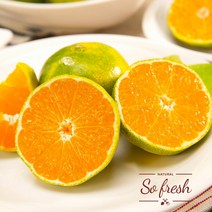 내고향푸드 국내산 제주 감귤, 선물용로얄대과5KG, 1개