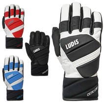 20/21 루디스 스키장갑 DEMO GRIP 데모그립 글러브 장갑, 20/21 DEMO GRIP