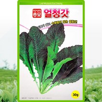 아시아종묘 갓씨앗 얼청갓 (30g), 1개