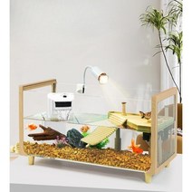 금붕어 거북이 유리어항 혼합 수조 2자 3자 패키지 세트 600 800