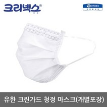 기타 TO 유한 크린가드 청정 마스크 [개별포장] 50개x1카톤