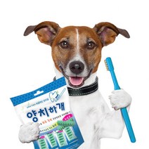 V 댕댕이 유산균 오랄 케어 양치껌 14P 덴탈껌 싱글족 져키간식 이빨