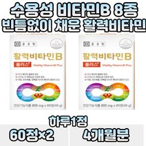비오틴 엽산 나이아신 활성 에너지 활력 비타민 비 스테아린산 마그네슘 블루베리 농축 분말 8종 수용성비타민 글리세린 지방산 에스테르 vitamin 영양보충 B1 B2 B6 B12