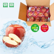 GAP 저탄소인증 당도선별 세척사과 대과2kg (6~8개입) 껍질째먹는사과/BFK