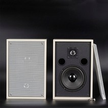 100W 5 인치 고출력 가정용 스피커 패시브 피버 오디오 서브 우퍼 K 노래 벽걸이 서라운드 데스크탑 프론트, [05] White 2pcs