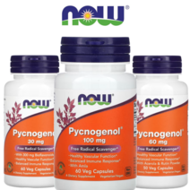 나우푸드 피크노제놀 60mg 100mg 50정 60정 호팍사 해안 소나무껍질 추출물, 60mg 50정, 1개