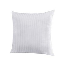 EvZ Homie Premium Stuffer Pillow Insert Sham Square Form Polyester 20” L X 20” W Standard White St, 1