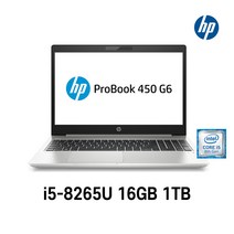 Hp Probook 450 G6 15.6인치 인텔 8세대 i5-8265U 사무용 중고노트북, WIN11 Pro, 16GB, 1TB, 코어i5 8265U, 실버