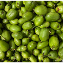 싱싱한 다래 2kg 취향에 따라 후숙 국내산 참다래 토종다래 달달 영양과일 미니키위 제철과일 국산 산다래 제철 야생다래 새콤한 토종산다래, 1개