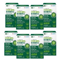 국산 은행잎추출물 혈행엔 징코 플러스 혈액순환 개선 여성 남성 기억력 감퇴 개선 뇌 에좋은 7중 복합 기능성 영양제 8개월, 8개월 (미니약통 증정)