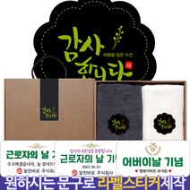 송월 호텔타올 130g x 2p 수건선물세트 근로자의날 어버이날 돌 칠순 팔순 회사 교회 학교 개업 행사 결혼식 답례품, C세트