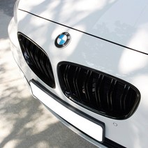 BMW 5GT 그릴 F07 M퍼포먼스 블랙, 블랙유광