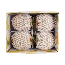 [감동] 머스크 멜론 6.5kg이상 선물세트 명절선물세트, 1box, 3-4수 6.5kg 내외