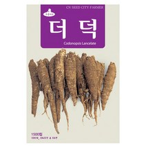 더덕씨앗 더덕씨 1500립 종자 키우기 재배, 1개