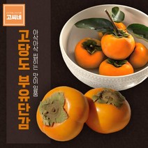 고씨네 프리미엄 단감5kg 단감효능 국산단감 단감단감 단감효능 진영단감 태추단감 창원단감 부유단감 장성단감 밀양단감 단감종류 차량단감, 본상품