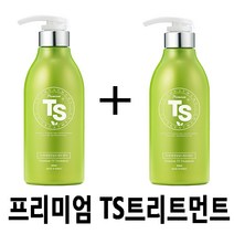 TS 프리미엄 헤어트리트먼트, 2개, 500ml