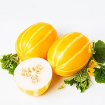 신선코리아 성주참외 산지배송 고급품 선물용 참외5kg, 쿠팡 1, 쿠팡 본상품선택