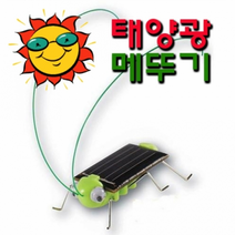 태양광 메뚜기 (진동로봇) 태양광실험세트, 1p