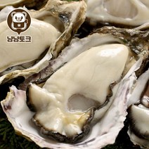 [냠냠토크] 통영 리얼 삼배체굴 바위굴 3kg 6-9미 내외, 단품