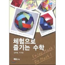 체험으로 즐기는 수학, 김부윤,이지성 공저, 수학사랑