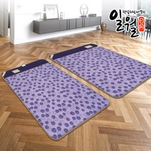 일월 전기요 전기장판 프리미엄 숯 플러스 홈쇼핑 전기매트, 숯 플러스 전기매트 (더블)