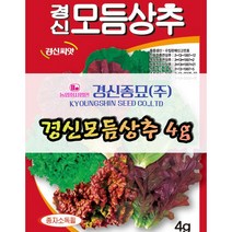 경신종묘 모듬상추 4g 파종용 상추 씨앗