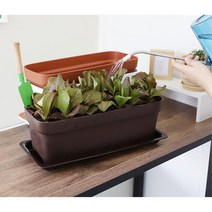 아파트 베란다 상추기르기 텃밭화분 정원꾸미기 잘자람, 다크브라운