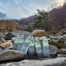 지리산 고로쇠 수액 고로쇠물, 6개, 1.5L