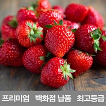 영화청과 국내산 딸기 2kg 프리미엄 백화점 납품 제철 농장 설향 청