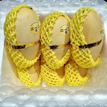 [남독마이] 태국 Nam Dok Mai 골드 망고 2kg 태국직배송 (대가상회)