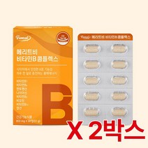 퍼니트 메리트비 비타민B 콤플렉스 850mg x 60정 2박스 (총120정 4개월분), 51g, 2개