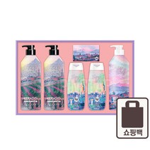 애경 설 선물세트 아트에디션 1개 명절 단체 회사 대량, 단품