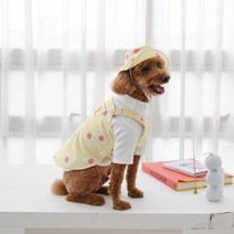 유앤펫 데이지 오버롤 원피스 멜빵 치마 중형견 대형견 옷, 옐로우