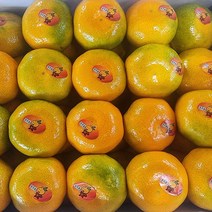 당도보장 귤 위미감귤 3kg 로얄과 제철 과일선물, 하우스감귤(3kg), 1개