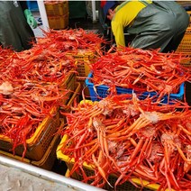 [명품 1등급 독도 홍게 산지직송] 가성비 독도홍게 3.5kg (9~14미) 모임 생일 파티 당일조업 당일발송 순차배송 자숙 산지직송 라면용 육수용 파지 포항 홍게 찜발송, 명품 독도홍게 3.5kg, 1개