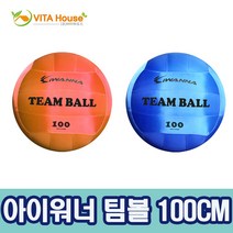 아이워너 팀볼 100cm120cm 2종 게임볼 킨볼게임, 100cm 블루