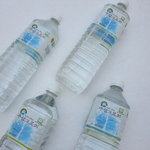 산지직송 신비의섬 청정울릉도 국산 토종 우산고로쇠 500ml(12병 30병) 냉동, 30병, 500ml