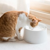 강아지 고양이 수반 음수대 밥그릇 물그릇 정수기 강화 유리 식기 식탁, 대