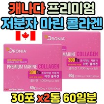 캐나다 프리미엄 저분자 연어 마린콜라겐 파우더 분말 청정 피쉬 콜라겐 비타민 베리 자일리톨 가루 히알루론산 오피스 전문직 실내피부건조 30대 40대 50대 여성용 피부 속살 탄력